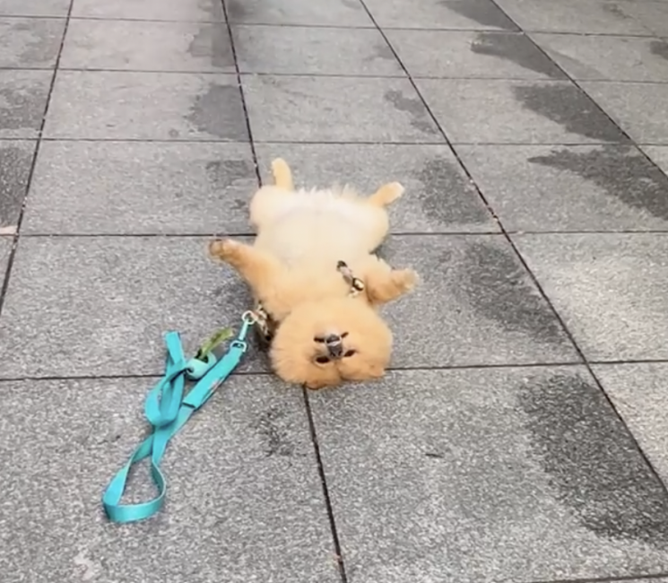 (Надано Джессікою Стемпл)