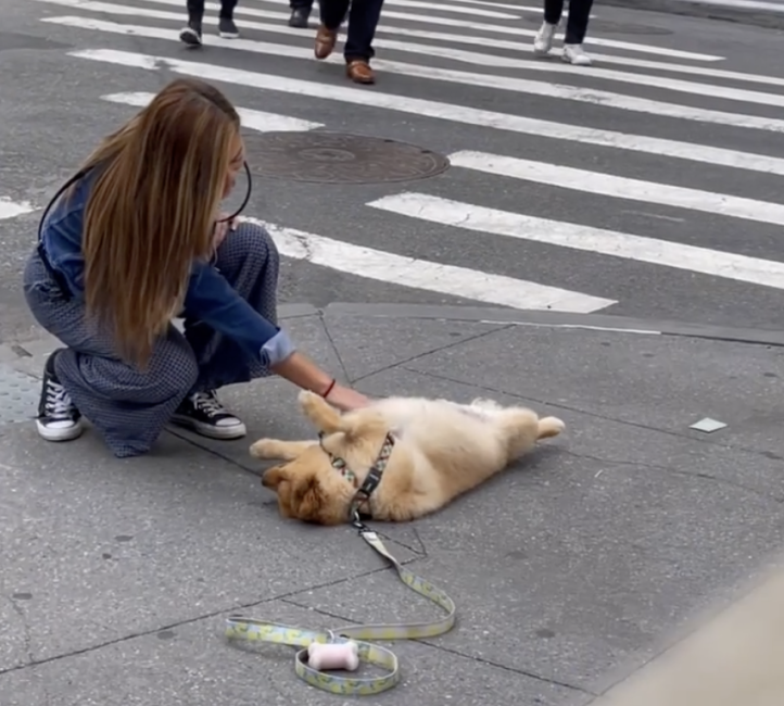 (Надано Джессікою Стемпл)