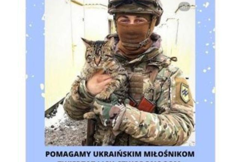 Поляки упростили въезд для украинцев, у которых есть домашние животные