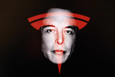 На фоне деятельности Маска продажи электромобилей Tesla в Европе упали почти на 50%