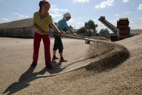 Українські селяни працюють на кращих чорноземах, та задарма